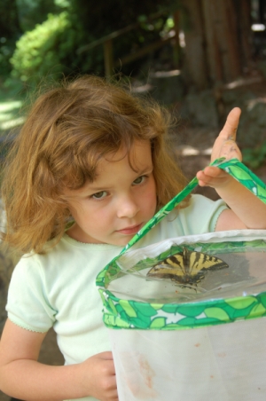 pictures of butterflies for kids. Children#39;s Butterfly Site