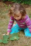 Looking at a Caterpillar Looking at a Caterpillar