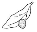 egg125.jpg