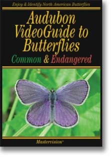 AudBfly-VideoGuide.jpg