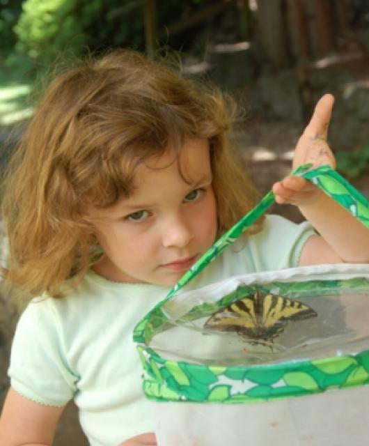 The Children's Butterfly Site